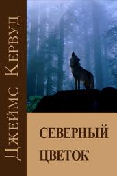 Icon image Северный цветок