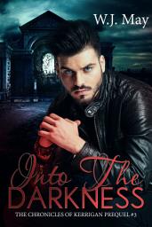 Icon image Into the Darkness: paranormal fantasy romance