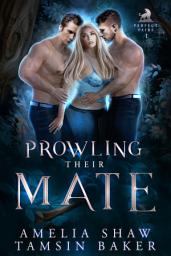 Icon image Prowling their Mate: FREE shifter MFM menage romance book